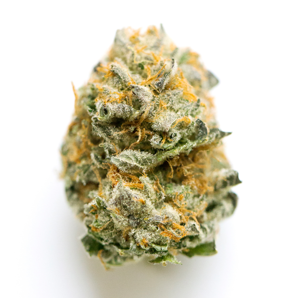 Rainbow Sherbert #11