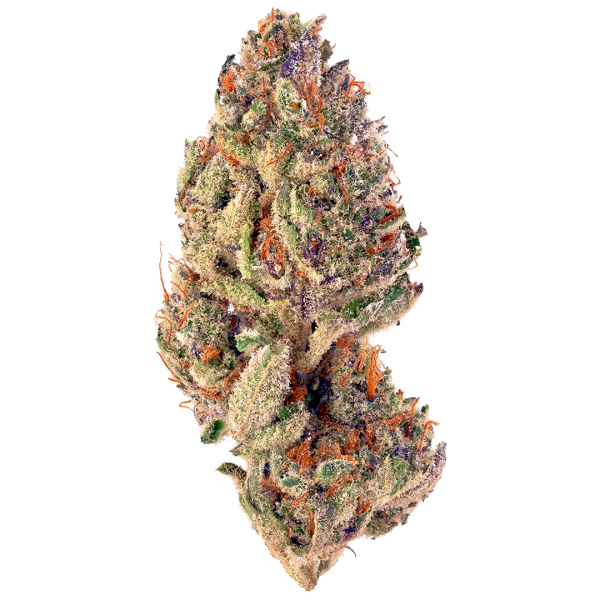 Slurricane
